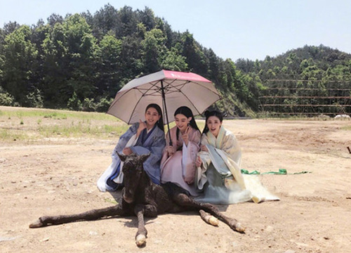 出游季夏曰炎炎，草帽加連衣裙絕對是標(biāo)配，暑期防曬全攻略！